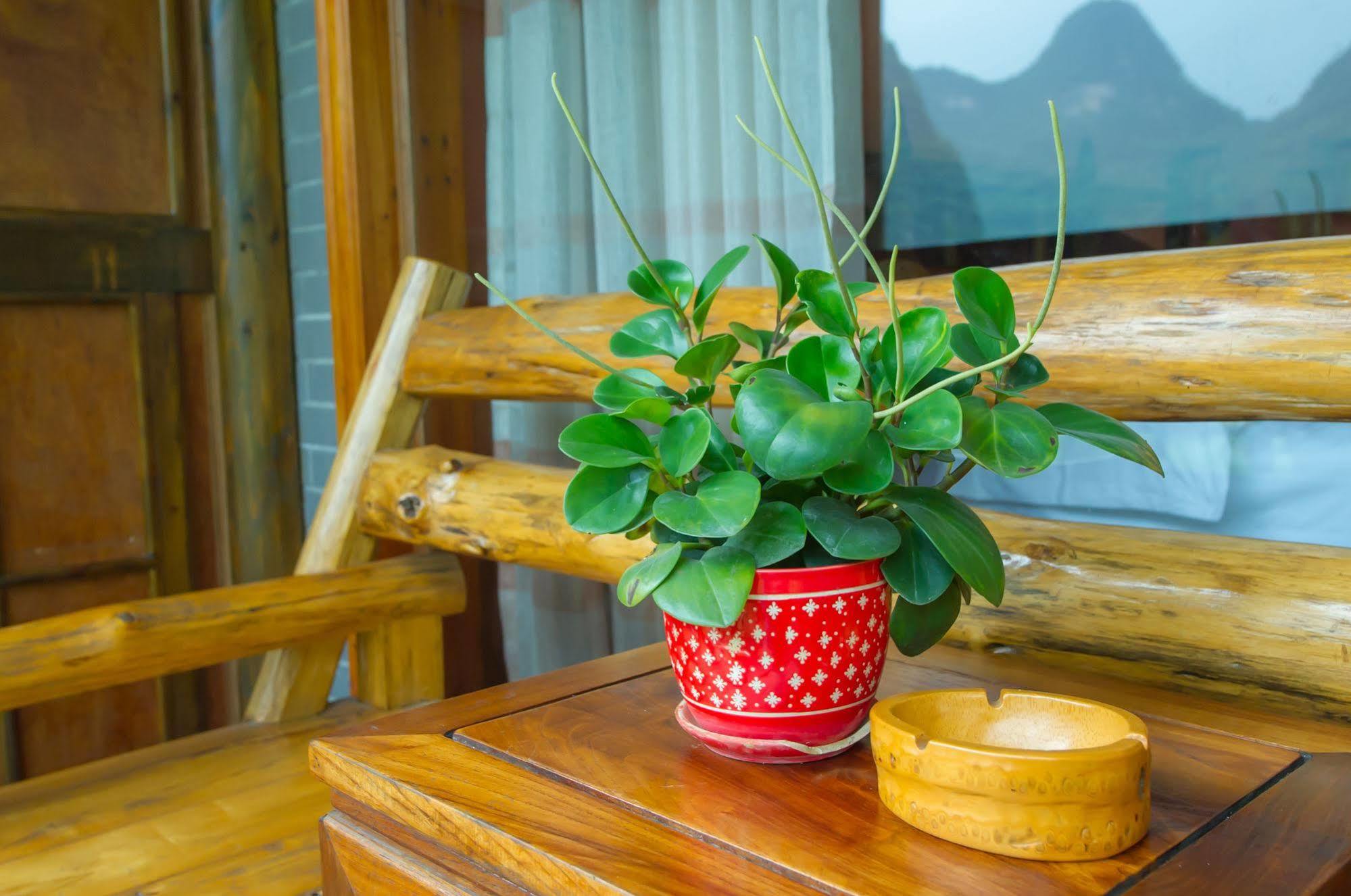 Yangshuo Scenic Mountain Retreat 호텔 외부 사진